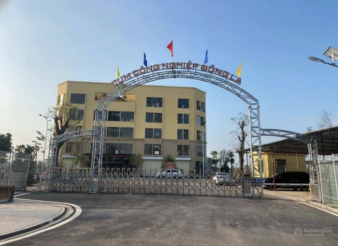 Vị trí