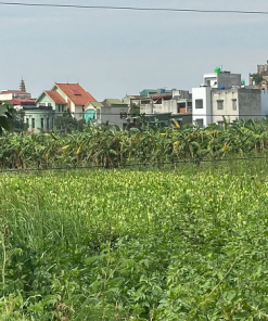 Hiện trạng khu đất sẽ triển khai dự án Cụm công nghiệp làng nghề Nam Tiến