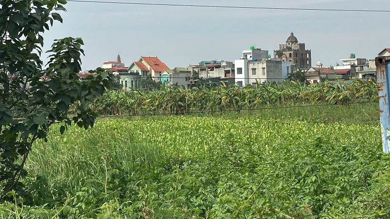 Hiện trạng khu đất sẽ triển khai dự án Cụm công nghiệp làng nghề Nam Tiến