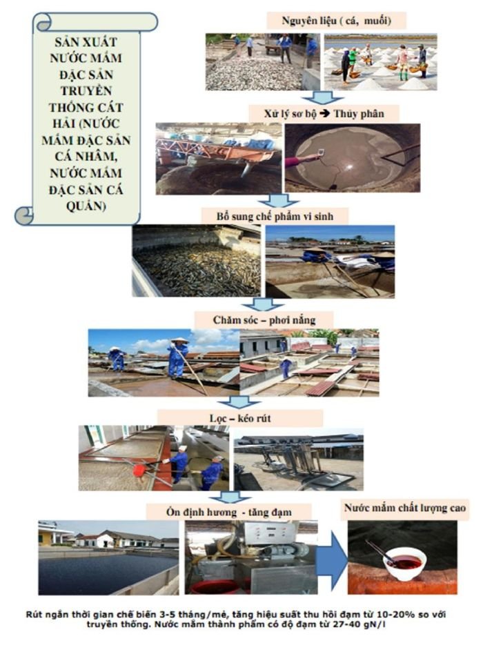 Tổng quan CCN Chế biến nước mắm Cát Hải: Tiềm năng & Đầu tư (Mặt bằng quy hoạch phân lô CCN Chế biến nước mắm Cát Hải: Tiềm năng & Đầu tư) Tổng quan CCN Chế biến nước mắm Cát Hải: Tiềm năng & Đầu tư - Mặt bằng quy hoạch phân lô CCN Chế biến nước mắm Cát Hải: Tiềm năng & Đầu tư